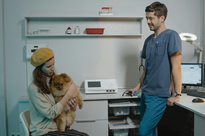 What Role Does a Vet Lab Play in Pet Surgery?